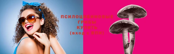 а пвп мука Гусь-Хрустальный