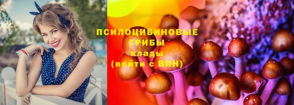 эйфоретик Гусиноозёрск