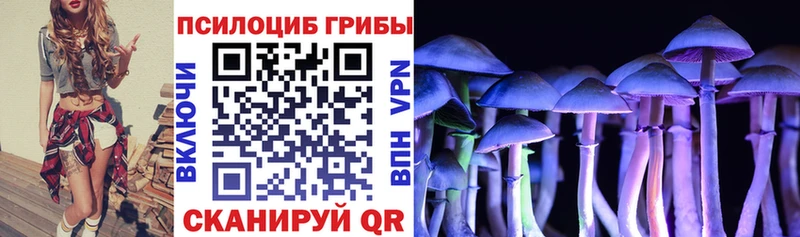Псилоцибиновые грибы GOLDEN TEACHER  Дигора 